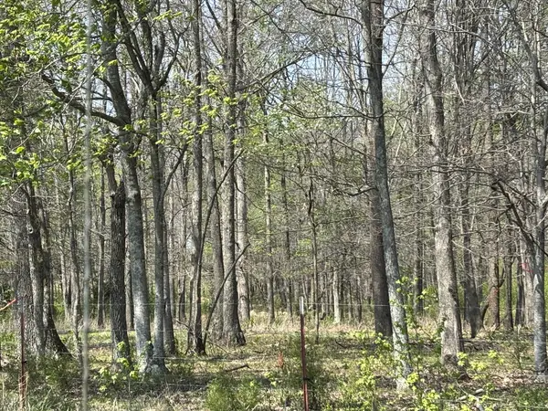 0 Hollow Springs Road, Bradyville, TN 37026