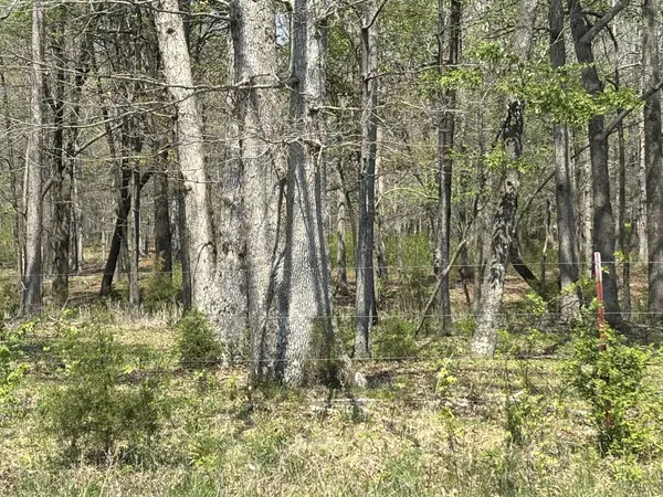 0 Hollow Springs Road, Bradyville, TN 37026