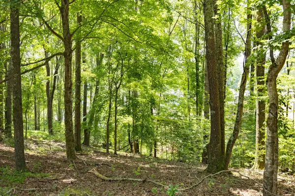 0 E Rockcrest Cir, Winchester, TN 37398