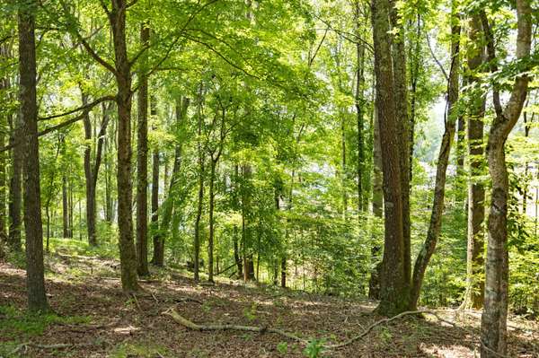 0 E Rockcrest Cir, Winchester, TN 37398
