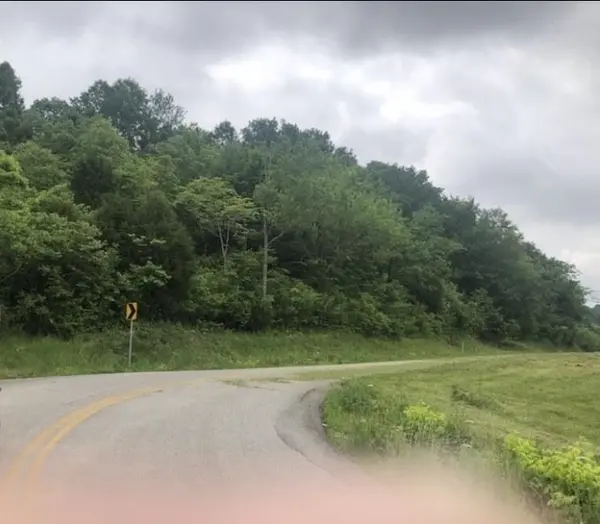 0 Johnson Hill Rd, Mount Pleasant, TN 38474