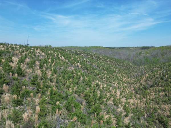 0C Waynesboro HWY, Waynesboro, TN 38485