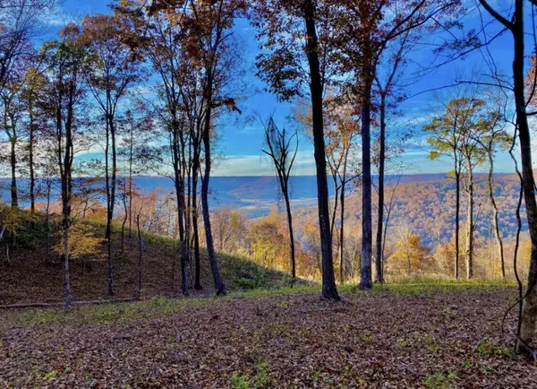 390 Volunteer Street, Jasper, TN 37347