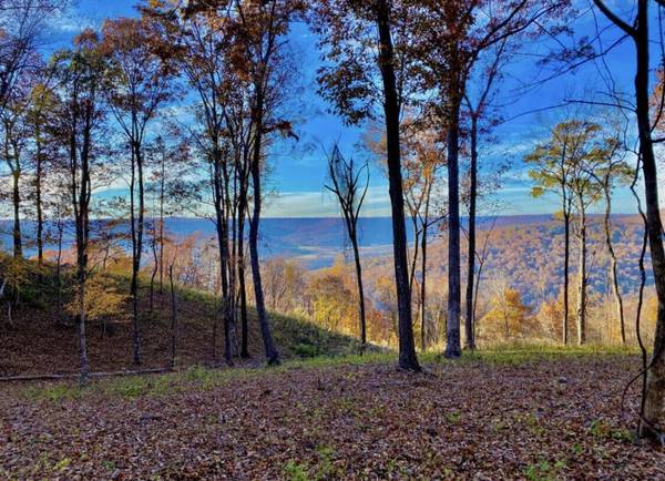 390 Volunteer Street, Jasper, TN 37347
