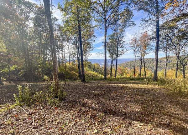 390 Volunteer Street, Jasper, TN 37347
