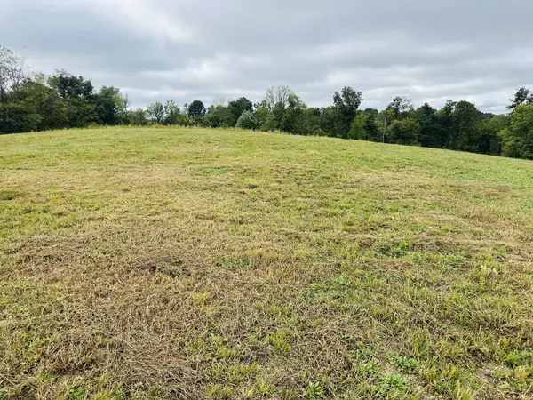 7 Annie Hollow Rd, Westmoreland, TN 37186