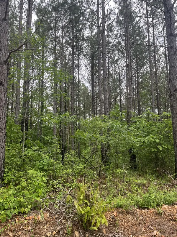 0 Old Mail Road, Duck River, TN 38454