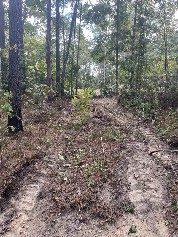 0 Old Mail Road, Duck River, TN 38454