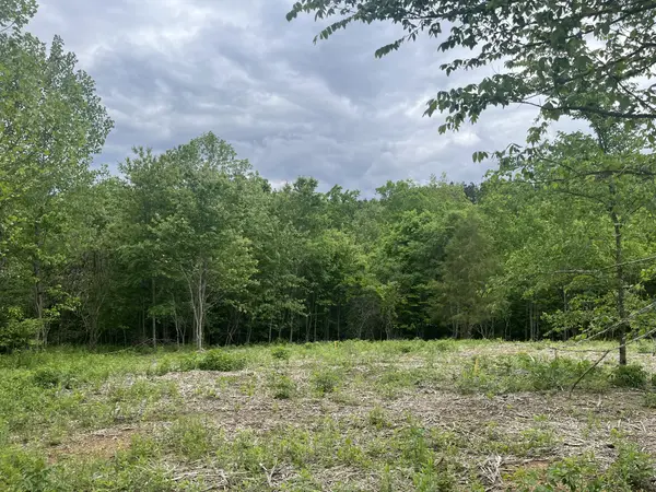 0 Old Mail Road, Duck River, TN 38454