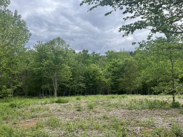 0 Old Mail Road, Duck River, TN 38454