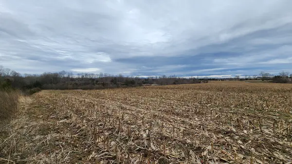 55 Indian Mound Rd, Sparta, TN 38583
