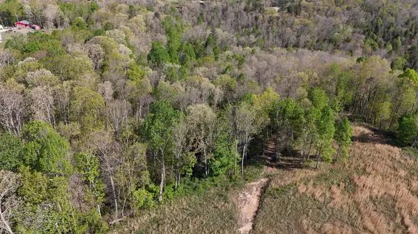 0 Hollow Creek Lane, Clarkrange, TN 38553