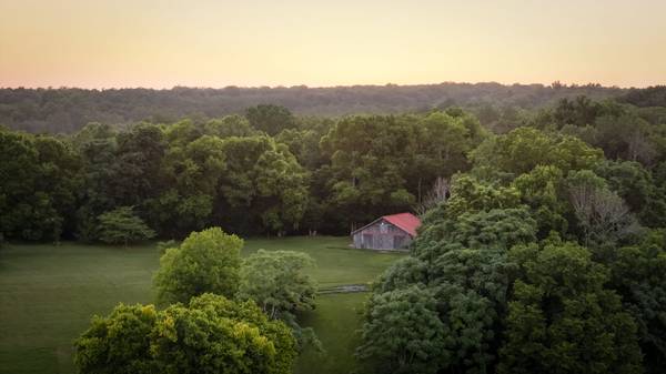 5123 Steam Mill Hollow Rd, Williamsport, TN 38487