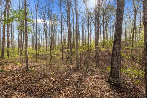 0 Ridgewood Dr, Mc Ewen, TN 37101