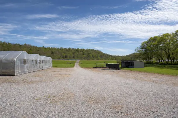 2461 Bodenham Rd, Pulaski, TN 38478