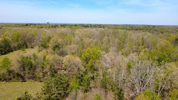 0 Mill Ave, Hohenwald, TN 38462