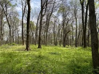 0 Center Star Road, Columbia, TN 38401