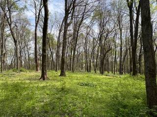 0 Center Star Road, Columbia, TN 38401