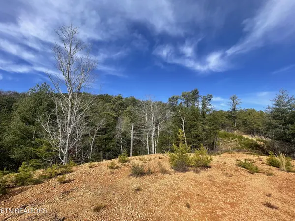 36 Bullet Mountain Drive, Tellico Plains, TN 37385