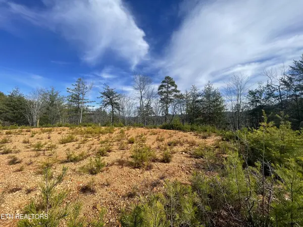 36 Bullet Mountain Drive, Tellico Plains, TN 37385
