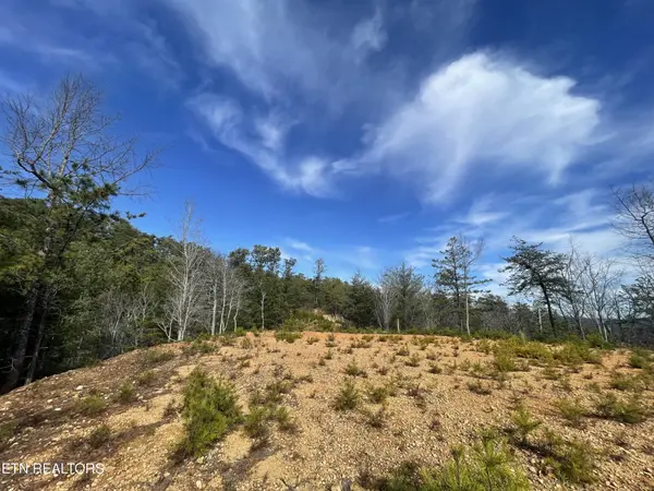 36 Bullet Mountain Drive, Tellico Plains, TN 37385