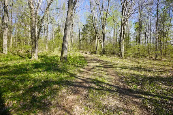 4219 Hwy 49, Tennessee Ridge, TN 37178
