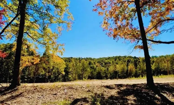 0 State Park Road, Burkesville, KY 42717