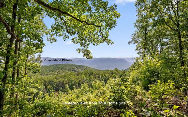 2225 High Ground Road, Guild, TN 37340