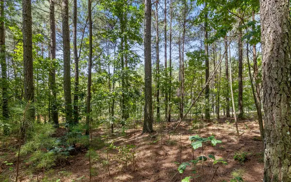 2225 High Ground Road, Guild, TN 37340