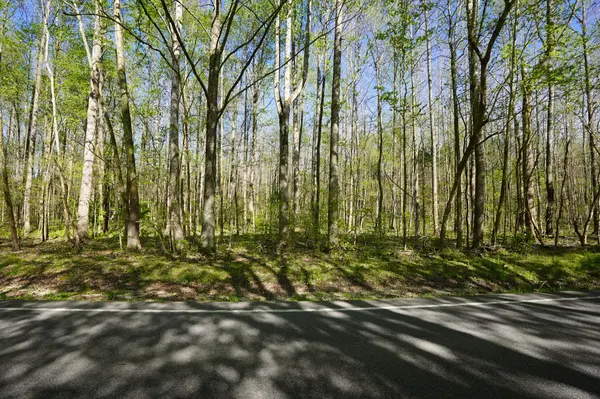 4149 Hwy 49, Tennessee Ridge, TN 37178