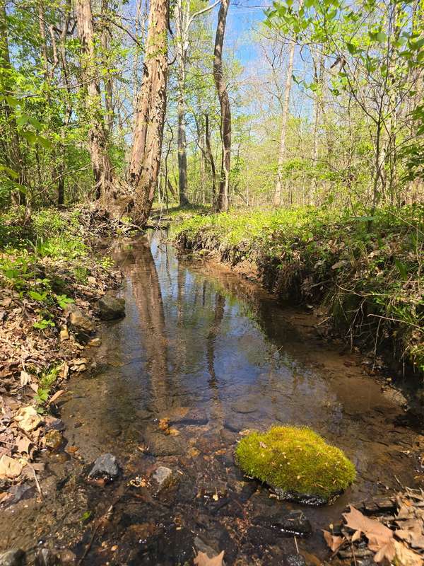 4149 Hwy 49, Tennessee Ridge, TN 37178