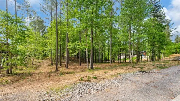 1755 Birds Eye Way, Guild, TN 37340