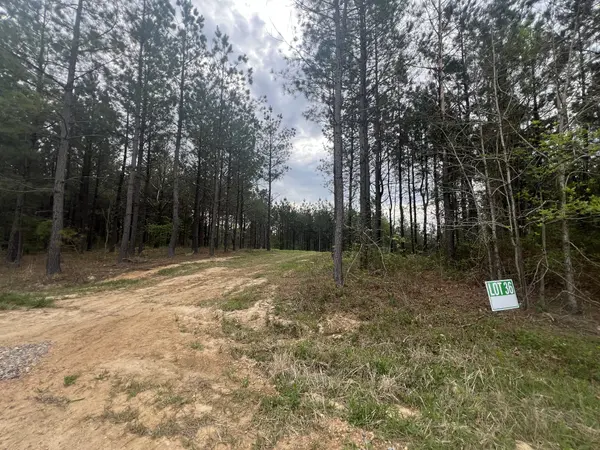 36 Pafford Lane, Erin, TN 37061