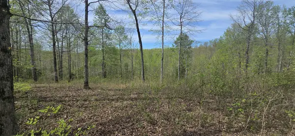 360 James Zimmerman Rd, Hampshire, TN 38461