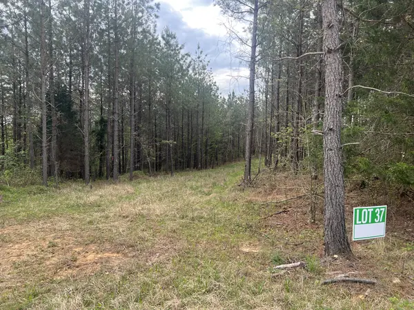 37 Pafford Lane, Erin, TN 37061