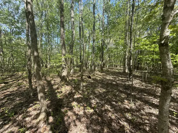 0 Dunbar Cave Rd, Clarksville, TN 37043
