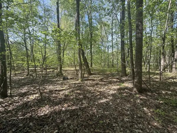 0 Dunbar Cave Rd, Clarksville, TN 37043