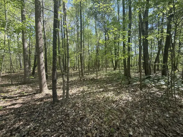 0 Dunbar Cave Rd, Clarksville, TN 37043