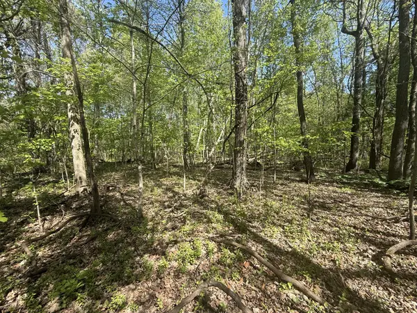 0 Dunbar Cave Rd, Clarksville, TN 37043