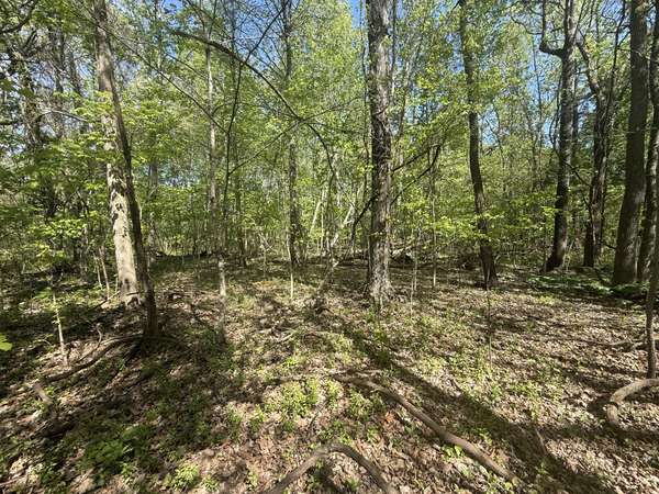 0 Dunbar Cave Rd, Clarksville, TN 37043