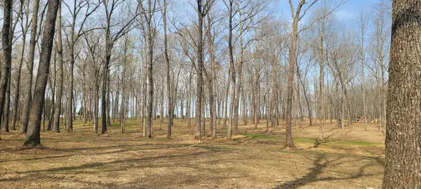 6 Goforth Rd, Morrison, TN 37357