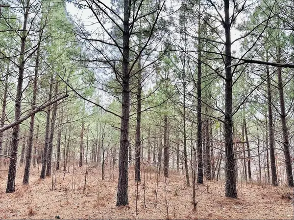 48 Ranches at Hickory Ridge, Dover, TN 37058