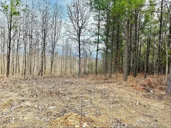 48 Ranches at Hickory Ridge, Dover, TN 37058
