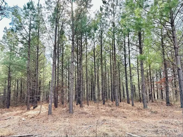 48 Ranches at Hickory Ridge, Dover, TN 37058