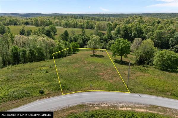 0 Blackhawk Ct, Waverly, TN 37185