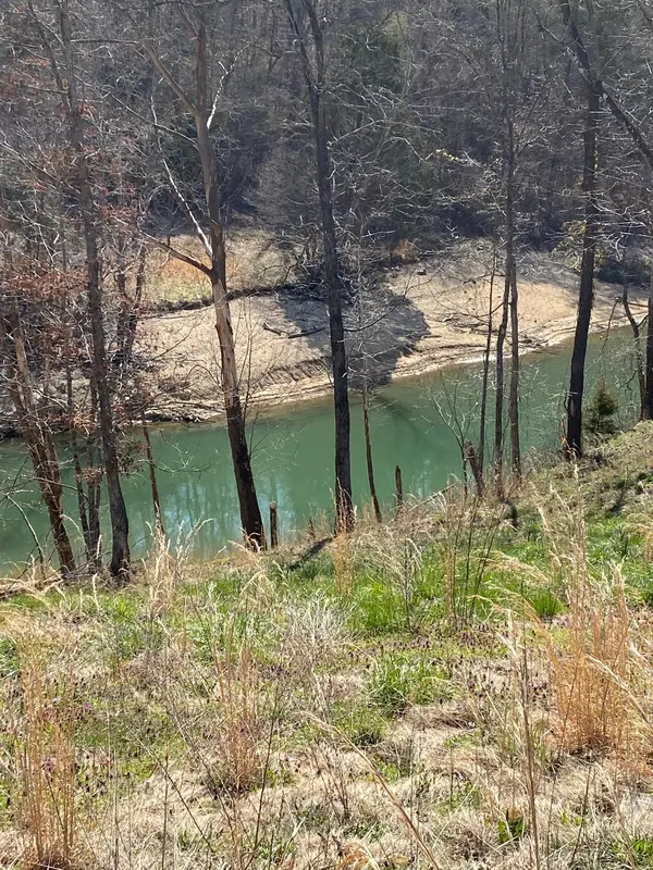 0 Wagon Lane, Speedwell, TN 37870