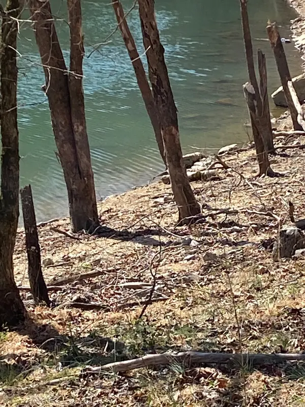 0 Wagon Lane, Speedwell, TN 37870