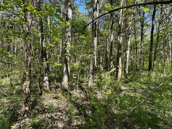 0 Cedar Grove Rd #S, Chapel Hill, TN 37034