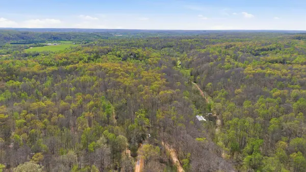 0 Opossum Hollow Rd, Primm Springs, TN 38476