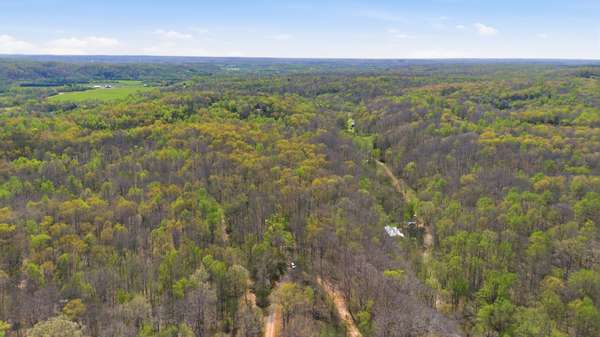 0 Opossum Hollow Rd, Primm Springs, TN 38476